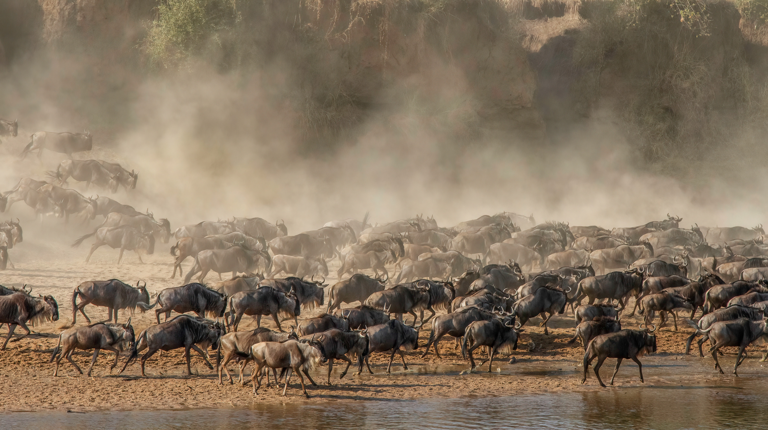 Serengeti National Park